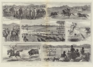 Bocetos de la Vida de un Ganadero en Australia